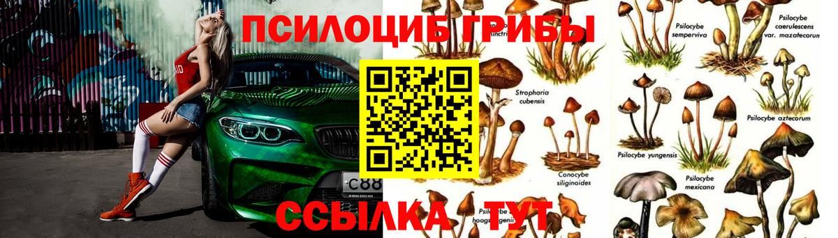 Псилоцибиновые грибы мухоморы Ревда