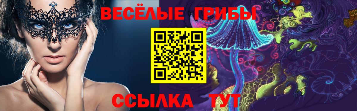 Ревда  Псилоцибиновые грибы прущие грибы  Вход с VPN 